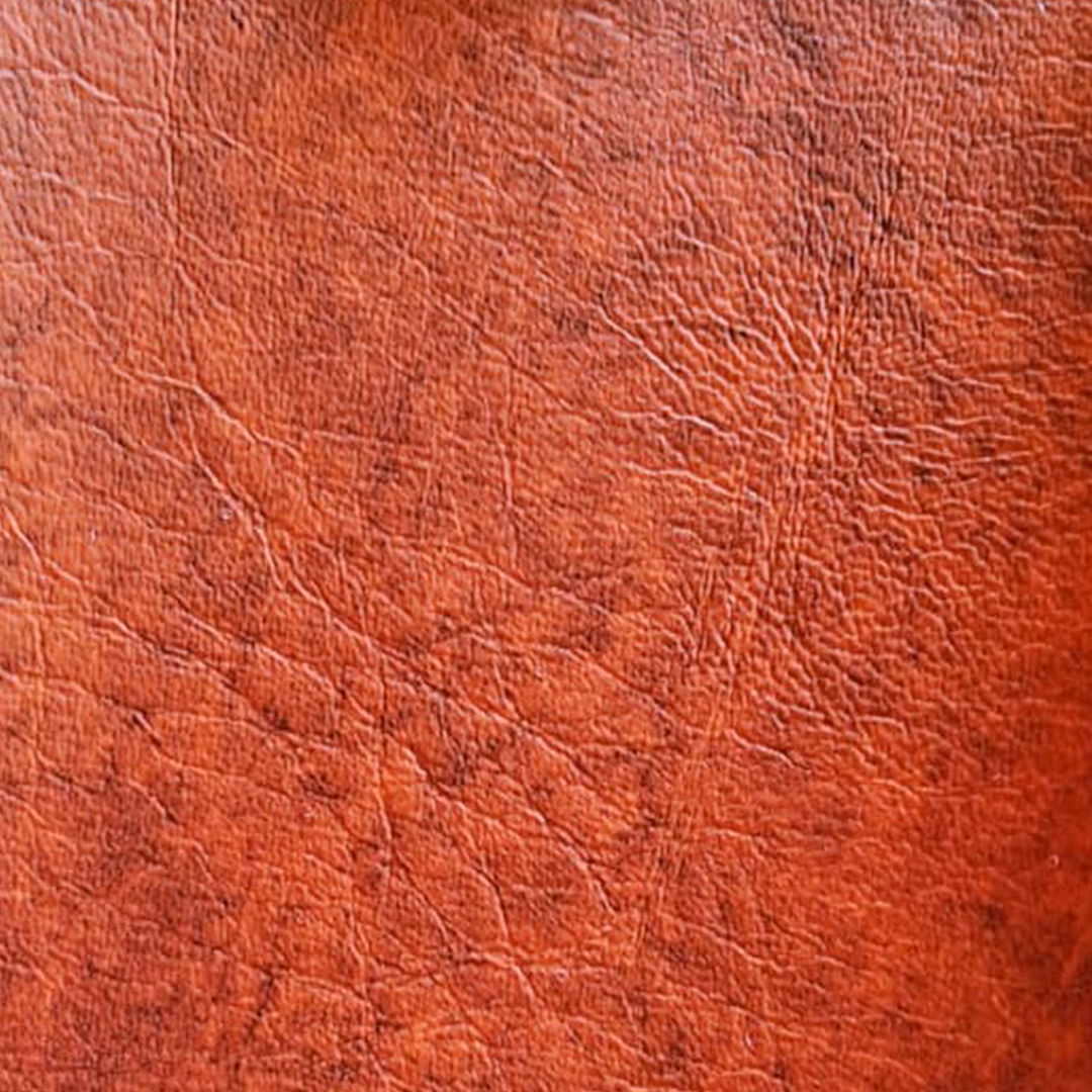 CUERINA LAZIO - ANCHO 1.40m