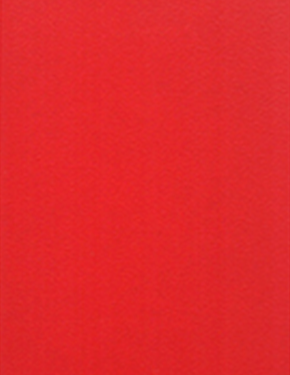 FORMICAS GENÉRIKAS UNICOLORES